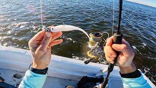 Jigging Whiptail Shads on Ledges for Stripers