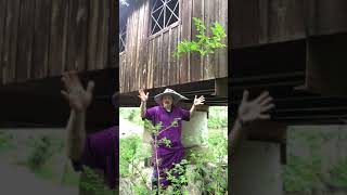 Hunting For Bridge Trolls