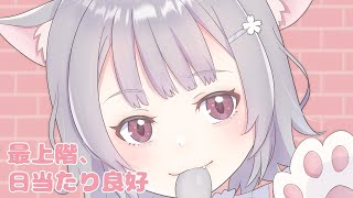 最上階、日当たり良好