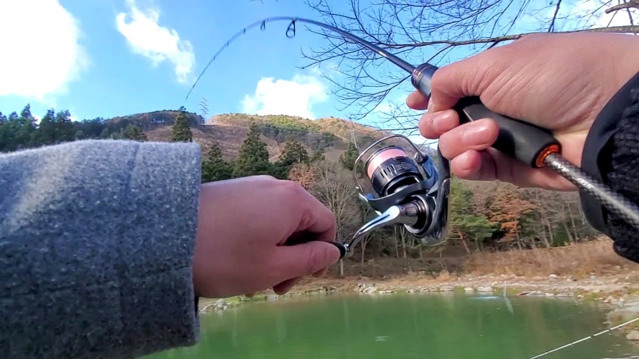 モンスタートラウト『グランディ』を狙え！【エリアトラウト】