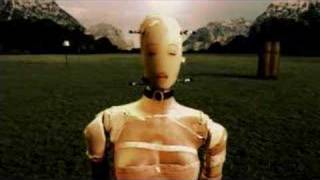 Blonde Redhead - Equus