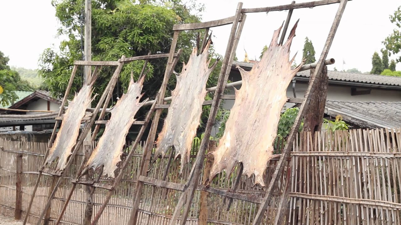 I like กลองสะบัดชัย มีSubtitle