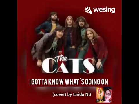 I GOTTA KNOW WHAT'S GOING ON - THE CATS (cover) by Enida NS #igottaknowwhatsgoingon
