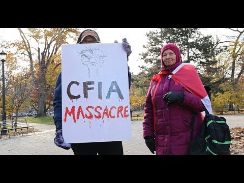 RAW: Patriotic ostrich supporters sing ‘O Canada’ in protest in Toronto