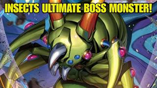 BREAKING NEWS! The ULTIMATE Insect Boss Monster Is Back!!! Yu-Gi-Oh!
