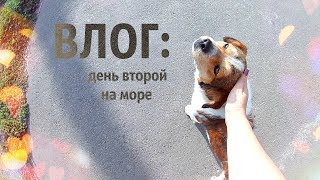 ВЛОГ: Затока, море. День второй.