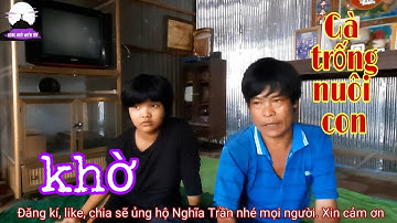 Gà trống nuôi con gái khờ 14 tuổi mà chẳng biết làm gì | Rong Ruổi Miền Tây