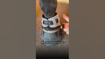 How to fit Flex Boot straps