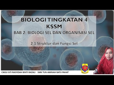 BIOLOGI TINGKATAN 4 KSSM BAB 2: 2.1STRUKTUR DAN FUNGSI SEL