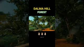 JUNGLE~BOOK 👌🏻👌🏻 #DALMA #forest #peace #nature