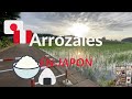 ARROZALES EN JAPÓN