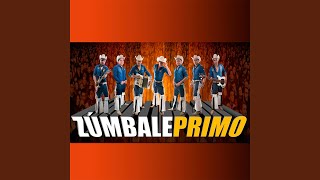 Video thumbnail of "Grupo Zúmbale Primo - Oro"