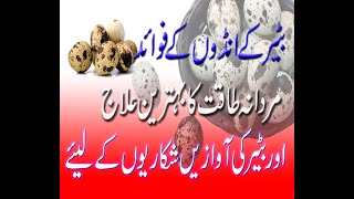 quail egg benefits