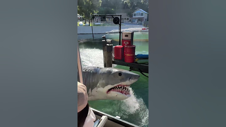 Bruce, the shark wanted to say hello Studio Tour Universal Studios Hollywood ￼#jaws