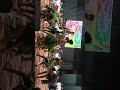 Aadivasi Group  dance Halpati samaj  boy's bilimora. 