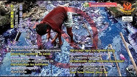 Fast Fashion and Its Impact on Our Environment, Part 2 of 2