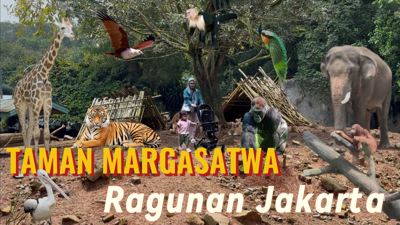 Menjelajahi Taman Margasatwa Ragunan | Ada Hewan apa saja ya di Ragunan⁉️