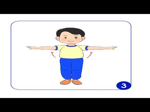 TN&XH Bài 22 Cơ thể của em tiết 1