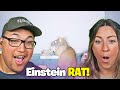 Rat Pulls Off a Big Brain Move- Daily Dose of Internet Reaction!