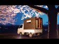 [Car Camping]A trip on JAPAN Make takoyaki under the cherry blossoms