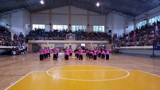 USPF COED PINK PANTHERS CHEERDANCE TEAM 2018 (Official Trailer)