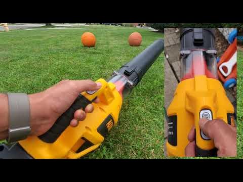 Small & Powerful Cordless Leaf Blower Review 