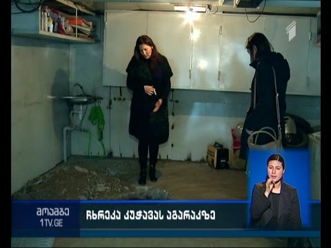 წაღვერში, ბიძინა კუჭავას აგარაკზე ექსპერტ-კრიმინალისტები მუშაობას იწყებენ