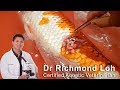 Fish pond EMERGENCY, pH crash, skin ulcers, septicaemia in koi fish