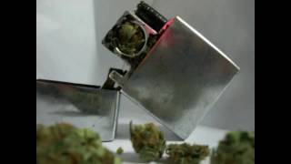 StrawBerry Cough Medical Weed Review- Stoner Smoke-A-Thon