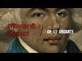 Capture de la vidéo Symphony No.1 In G Major, Op.11 By Joseph Bologne, Chevalier De Saint Georges