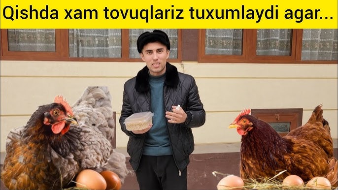 Tunda qoronguda sikish porno video