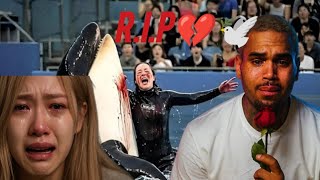 Download Lagu Chris Brown \u0026 ROSÉ - Trainer 'Jessica Radcliffe' Killed in an Orca Whale Attack (Official Music) MP3 Download Lagu Chris Brown \u0026 ROSÉ - Trainer 'Jessica Radcliffe' Killed in an Orca Whale Attack (Official Music) MP3