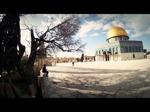 قصيدة يا قدس إلقاء للشاعر نزار قباني منهاج اللغة العربية الصف الثامن