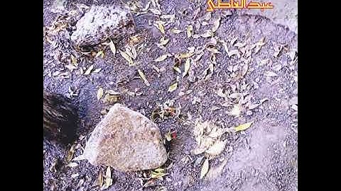 سورة الملك كاملة من أروع التلاوات للقارىء محمدسيد عبدالعاطي