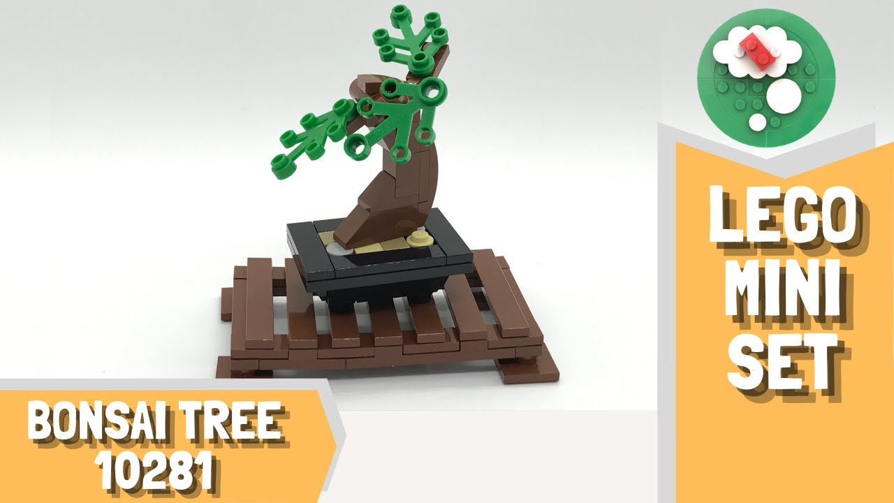 Cultivea - Mini Kit Zen Bonsai - Tutoriel vidéo 