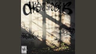 Chasing Shadows - Nicolas Sales & Room99