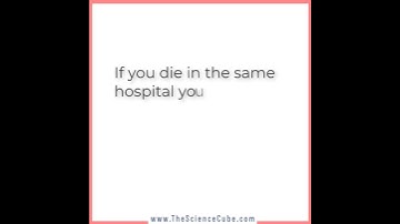 Average Velocity of LifeTime!