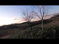 夕鹿300m