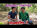 ไขประเด็น Elephant Thailand เป็นของใคร