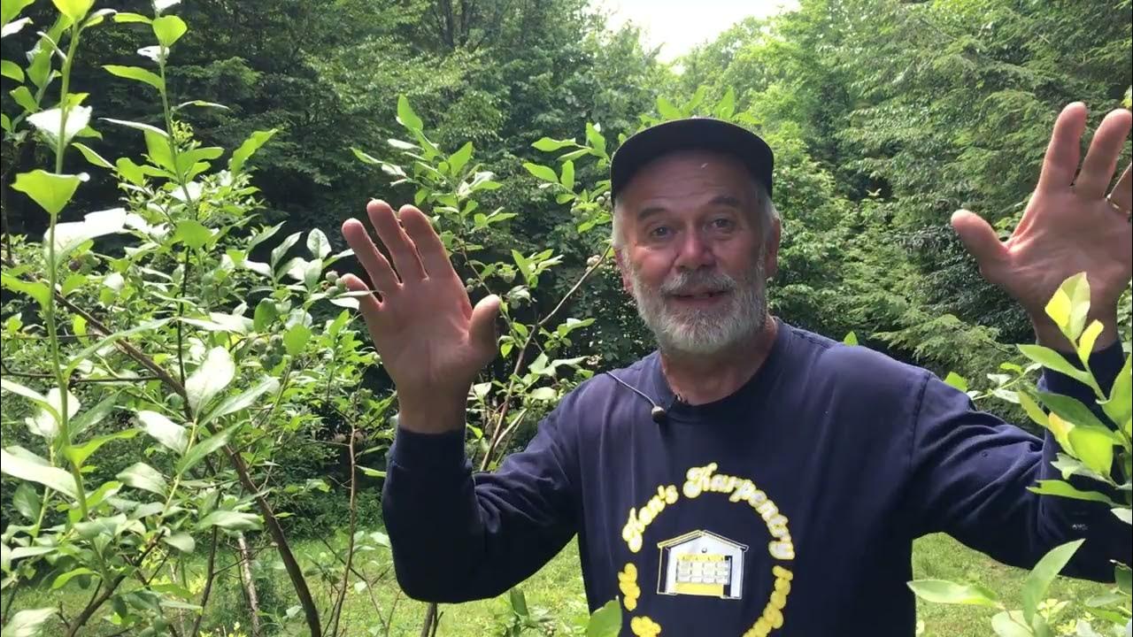 FUTURE KEN'S KARPENTRY PROJECTS YouTube