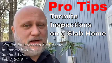 Pro tips for termite inspections on slab homes