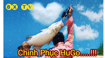CHINH PHỤC CÁ VƯỢC KHỦNG | LURE CÁ VƯỢC CHẼM TRÊN CỬA BIỂN TƯ HIỀN  8X TV