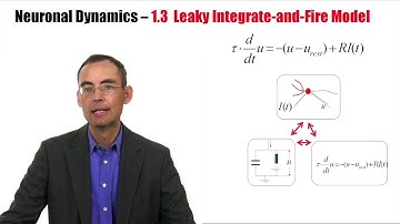 CNS1.3 - Leaky Integrate-and-Fire Model