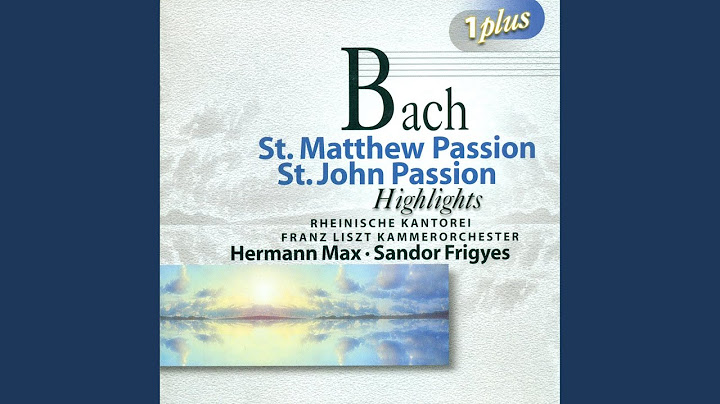 Part I: Chorale: Wer hat dich so geschlagen (Chorus)