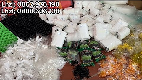 🍐🍎🪰. CHỐNG RUỒI VÀNG TÚI VẢI MAY THỦ CÔNG HÀNG SIÊU DAI - BỀN dùng 3-4 vụ 