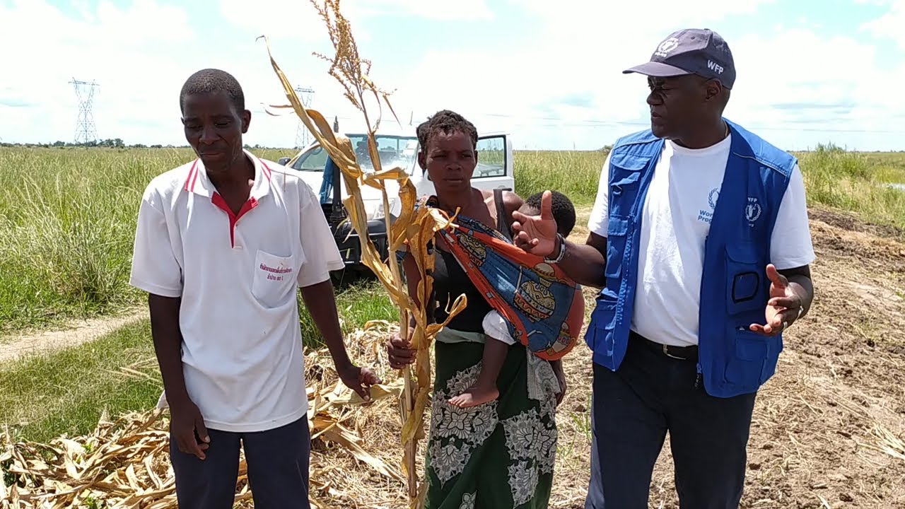 Um ano do ciclone Idai em Moçambique: "Os ganhos podem ser perdidos"