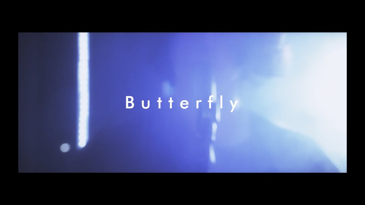 THE BORING TAPES - Butterfly (OFFICIAL VIDEO)