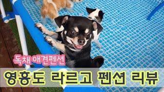 독채 애견펜션 | 영흥도 라르고펜션 리뷰 | 코로나를 피하는 방법