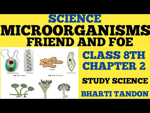 SCIENCE||MICRO ORGANISMS: FRIEND OR FOE|| CLASS 8TH||CHAPTER 2||FULL ...