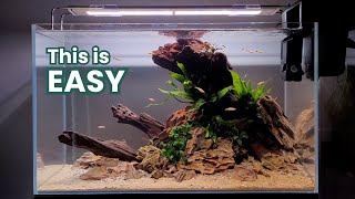 How to SETUP a Low Tech Planted Aquarium